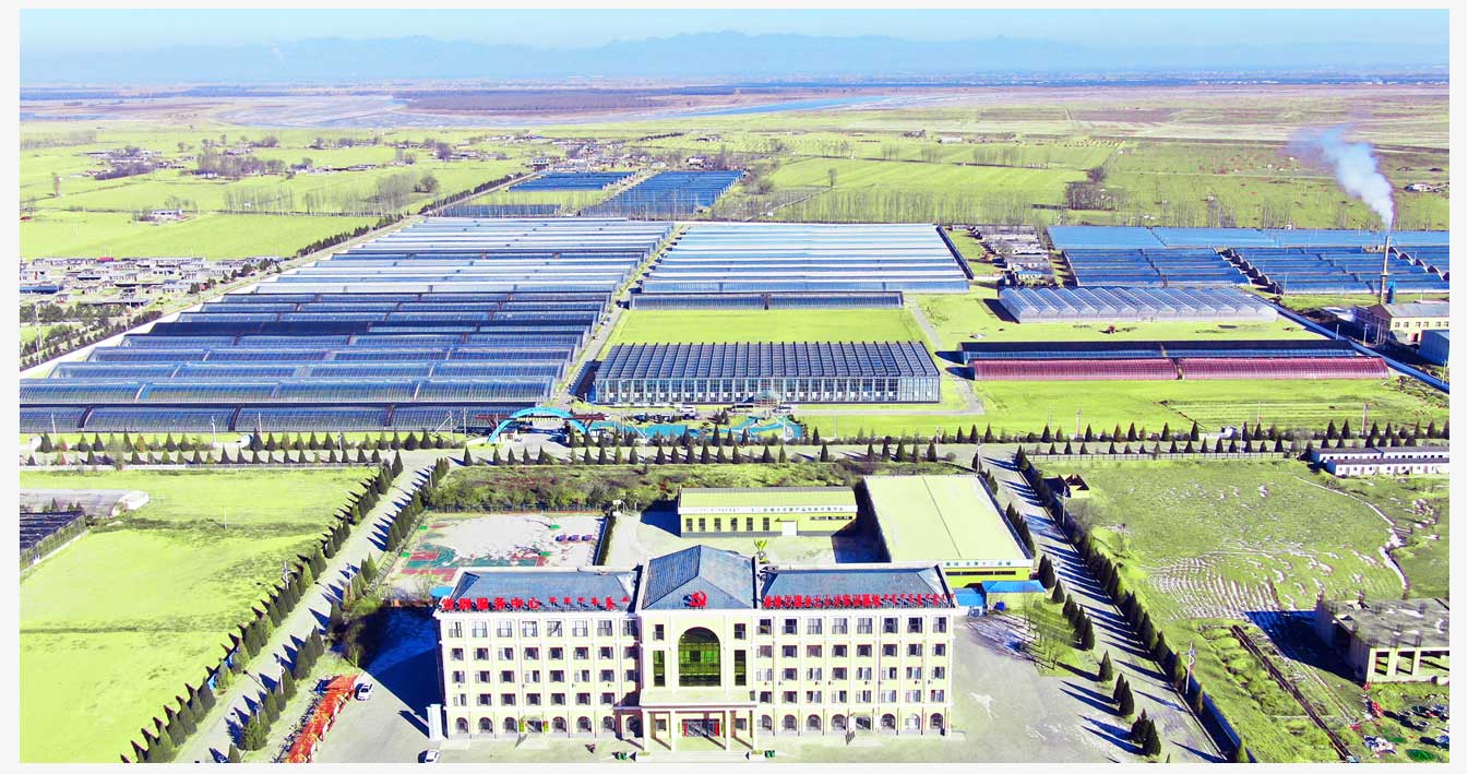 準格爾旗現代智慧設施農業產業園_04.jpg
