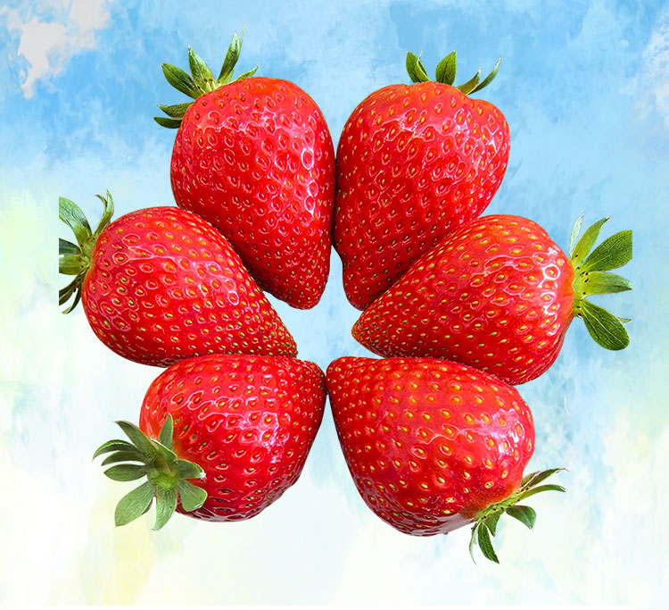 草莓1920網50像素2025年3月12日網頁_02.jpg